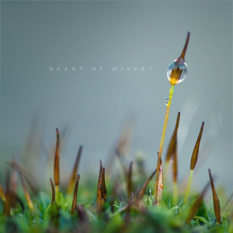 , Владимир Точаненко