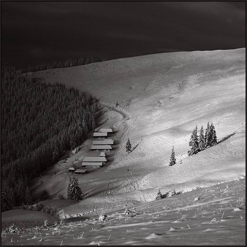 карпаты, Тарас