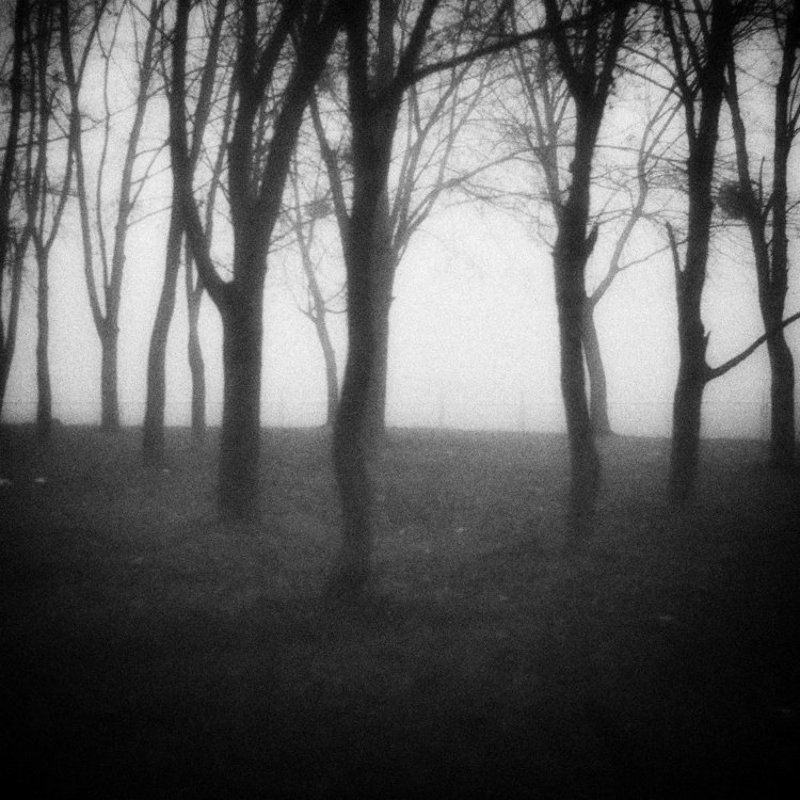 __I I I__ фото превью