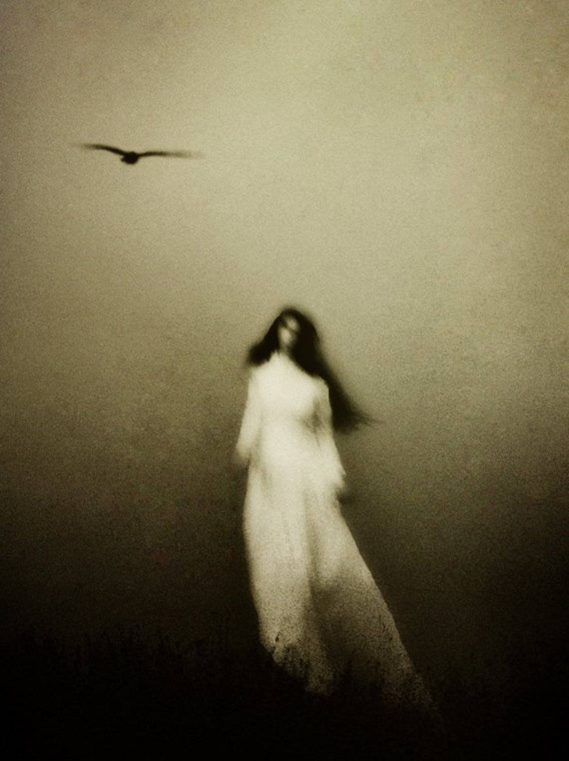 , Елена Воеводина