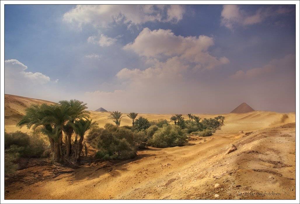 , Евгений Мудренко