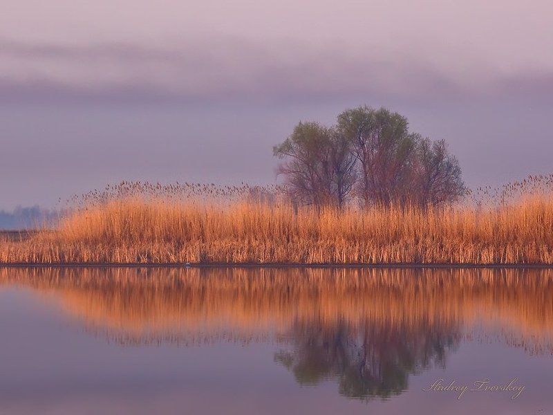 Фиолетовое утро. фото превью