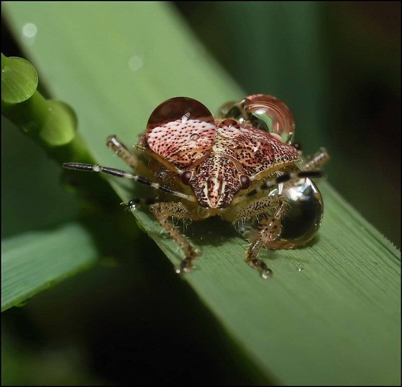 , Андрей Осокин