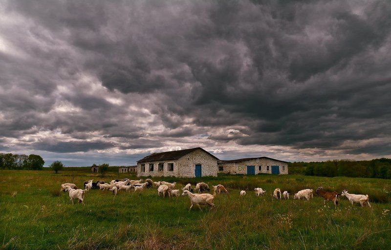 Вот так и живём фото превью