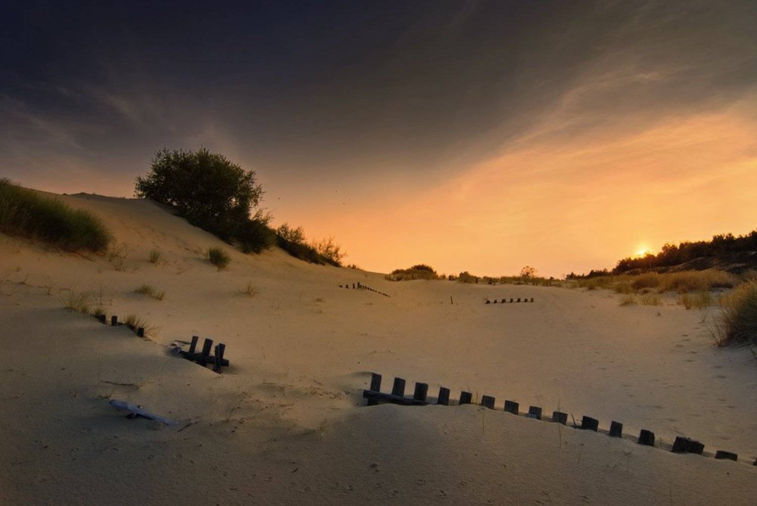 эфа, Александр Титаренко