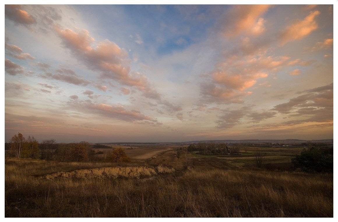 , Николай Шахманцир