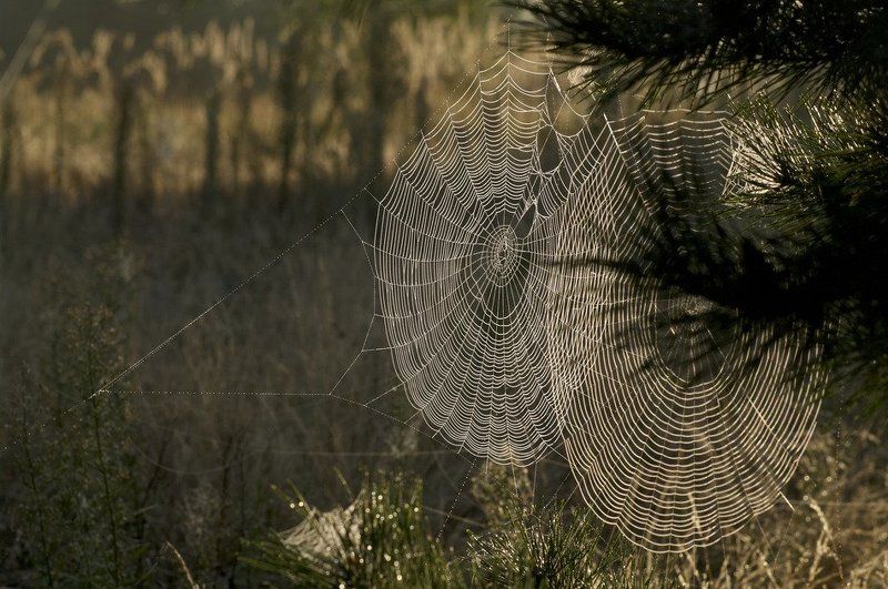 Контроль воздушного пространства фото превью
