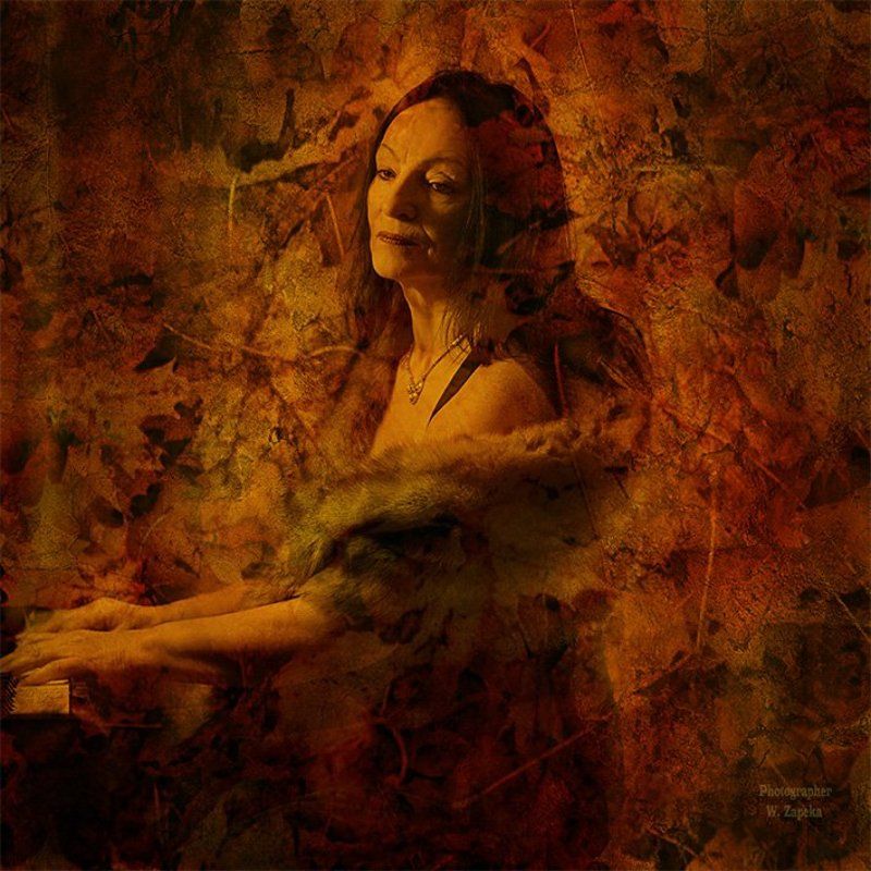 Осенний ноктюрн фото превью