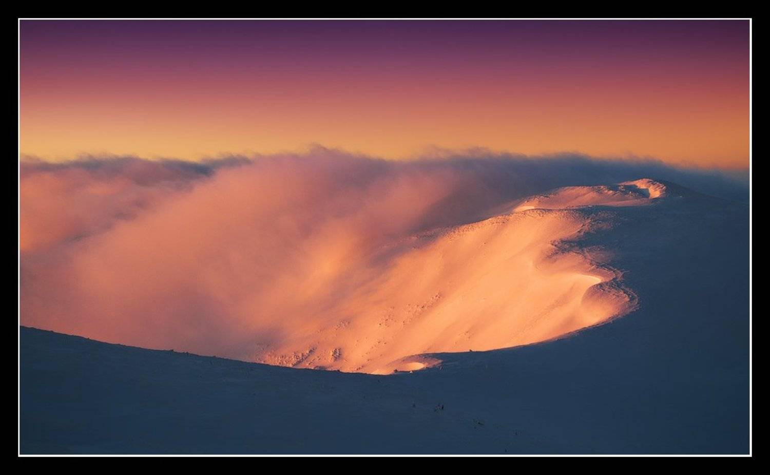 , Денис Кривой