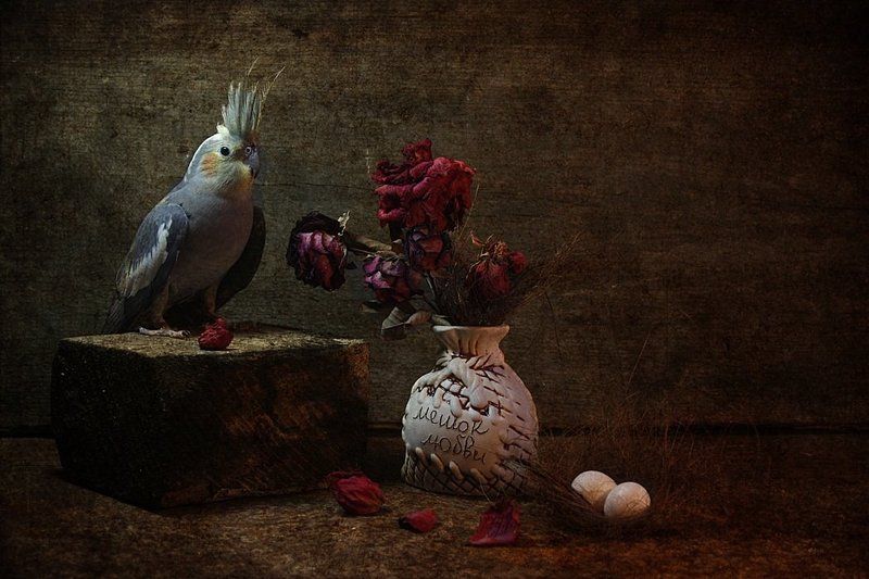 .... твои завяли розы... фото превью