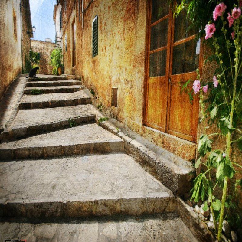 alone . фото превью