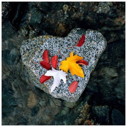 Осенняя подборка