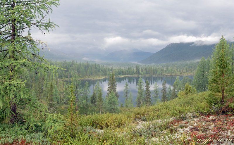 утро, гроза, приполярный, урал Утро после грозы фото превью