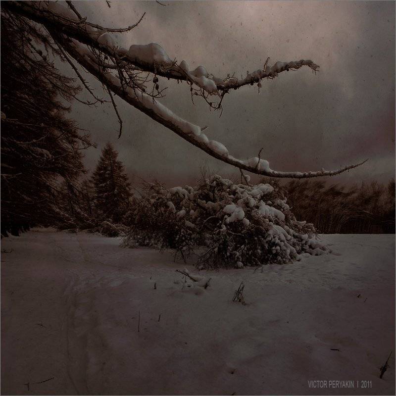 , Виктор Перякин