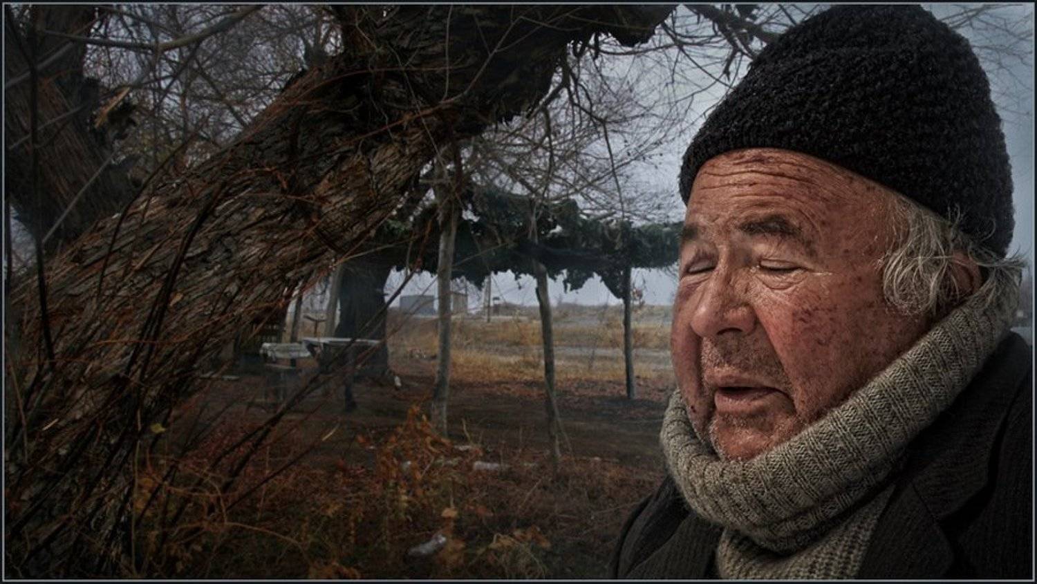 старик, старость, владимир