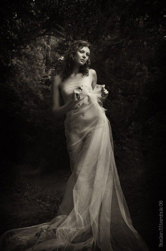 лесная фото превью