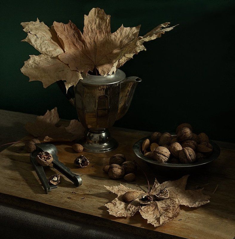 Грецкие орехи и желтые листья фото превью