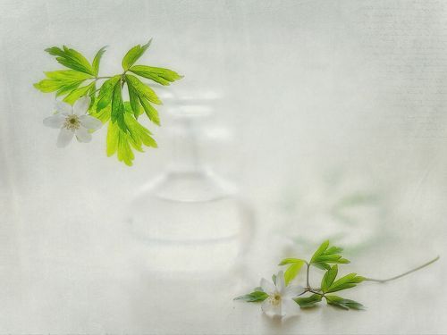 мечты о весне...