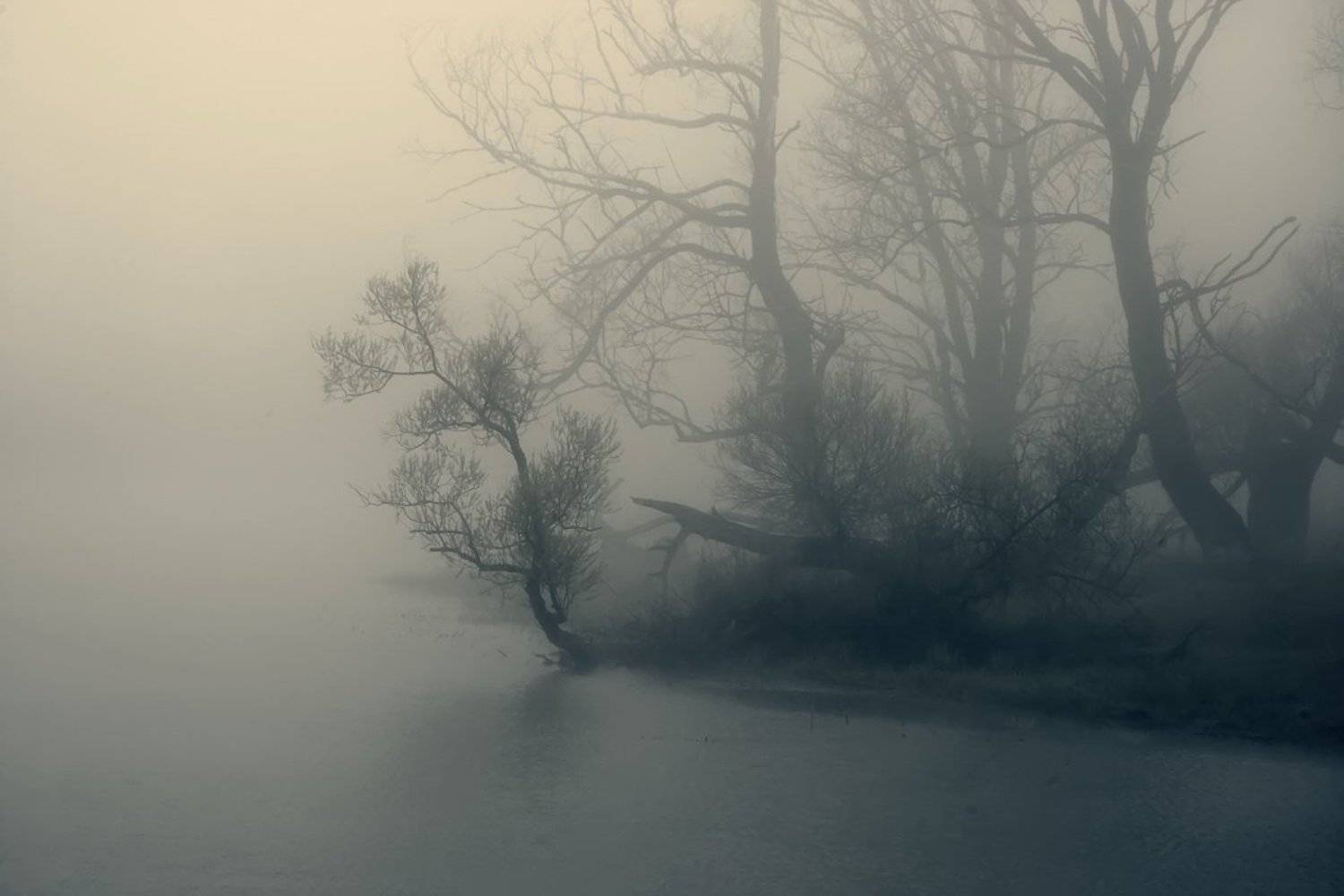 , Валерий Кондратов