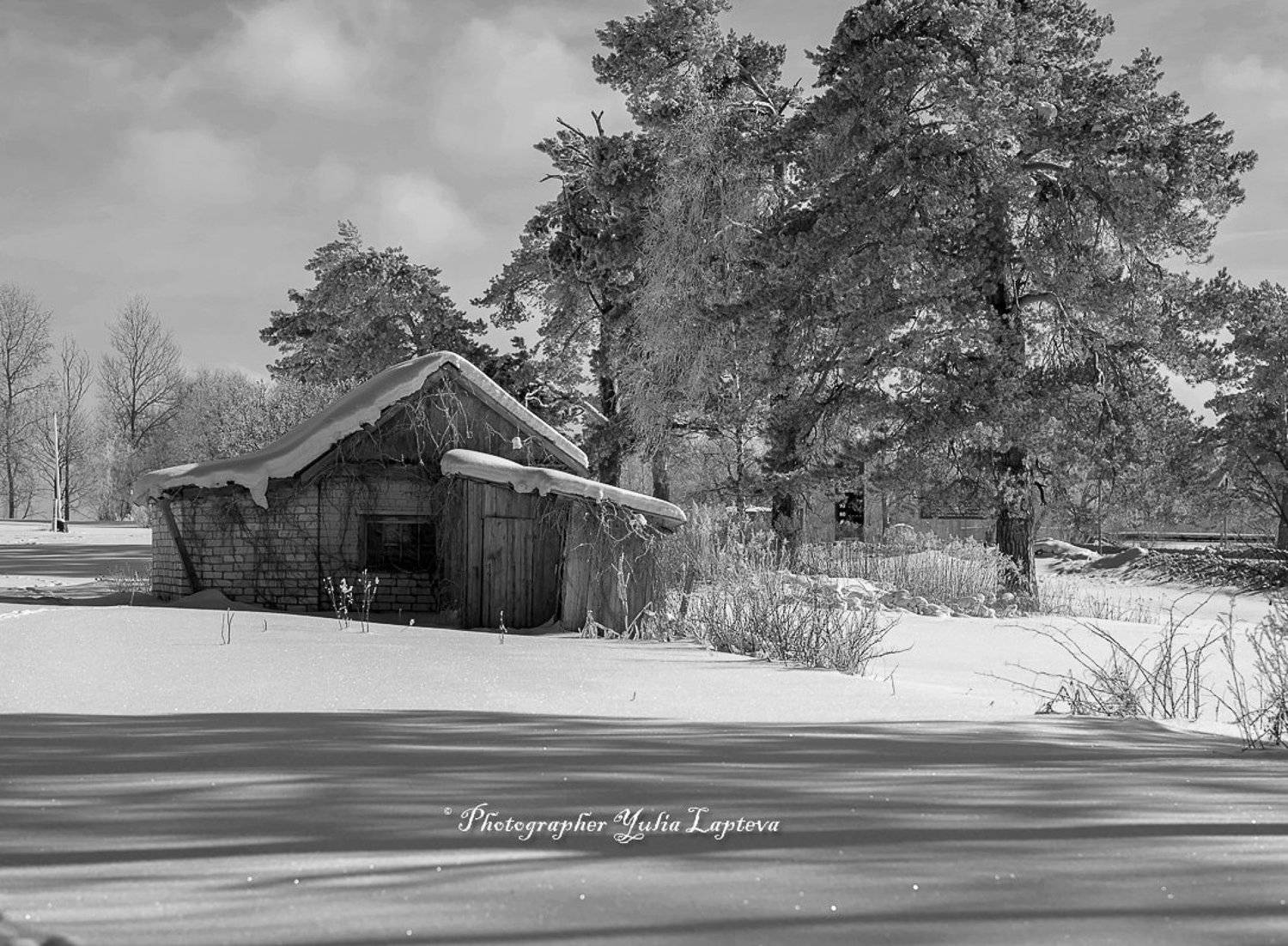 черно-белое,природа,зима,февраль,россия,bw, Юлия Лаптева