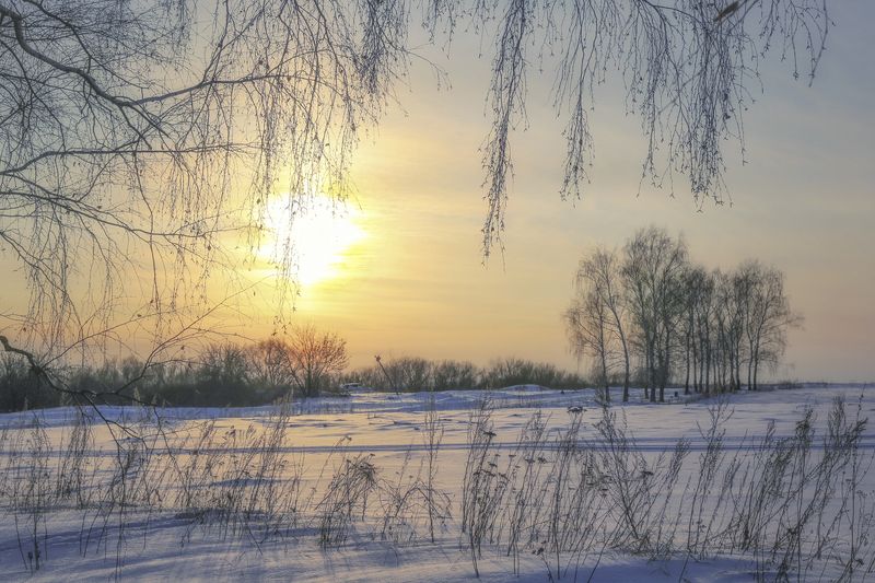 зима,пейзаж.закат, Вот такая спящая весна фото превью