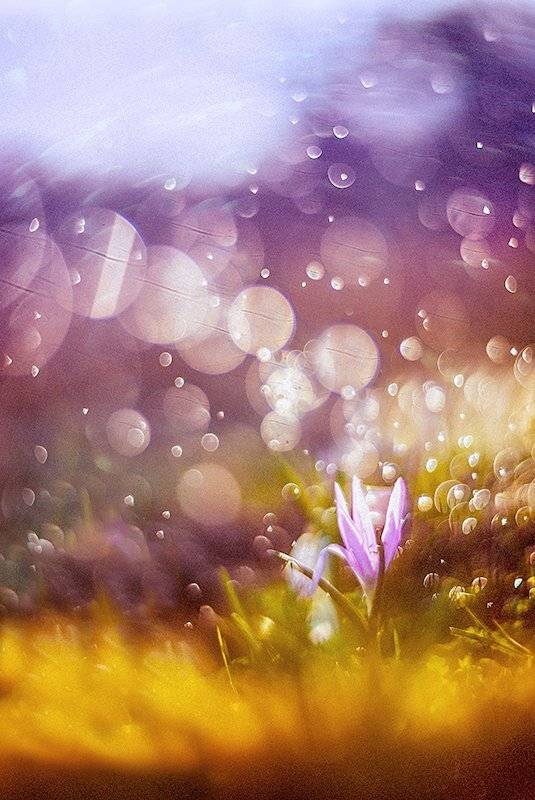 , Татьяна Аверина