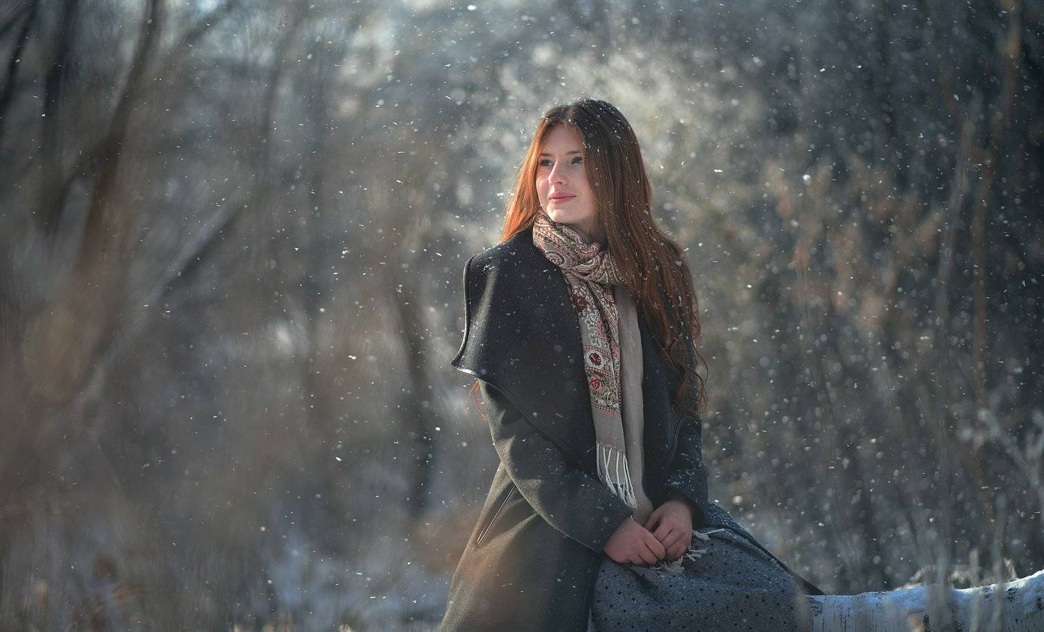 портрет, Сергей Степанов