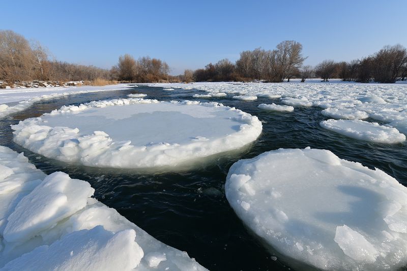 речные кругляшки фото превью