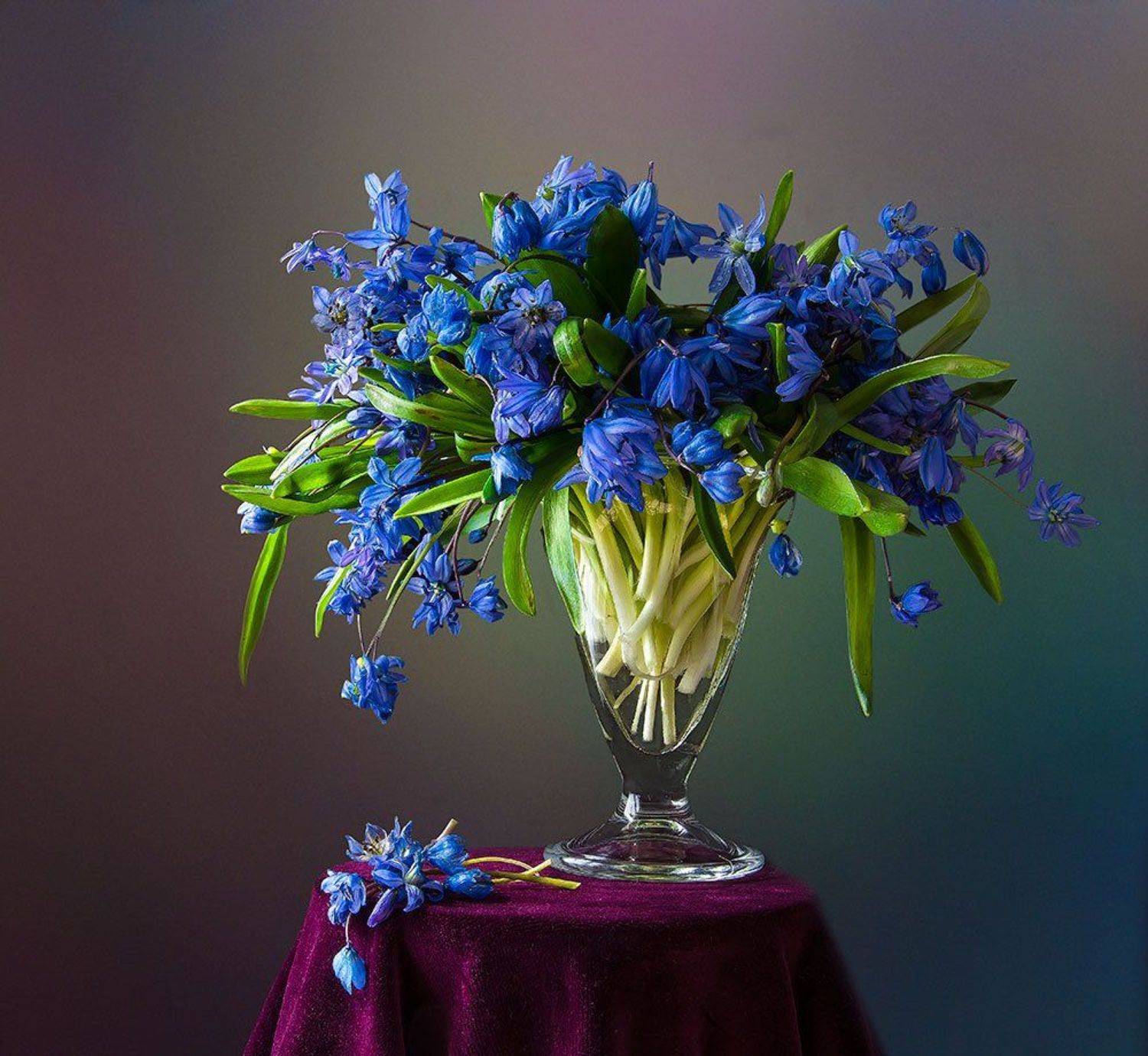 красивый натюрморт с подснежниками,цветы,букет,искусство,творчество,художественное фото,костюченко людмила., Людмила Костюченко