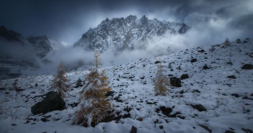 Пробуждение дракона
