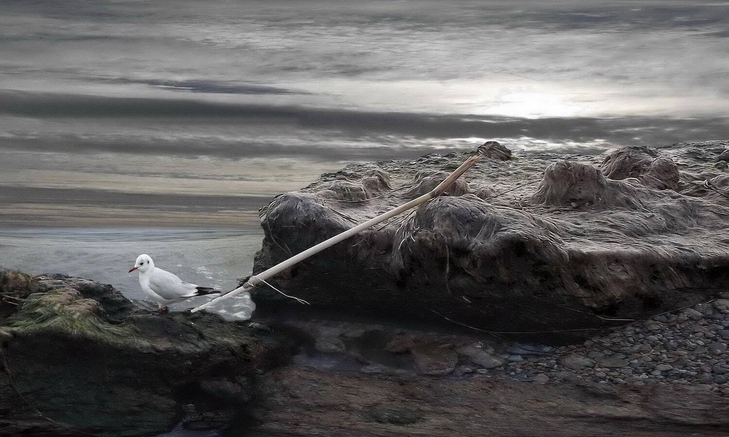 одесса, Сергей Кошелев