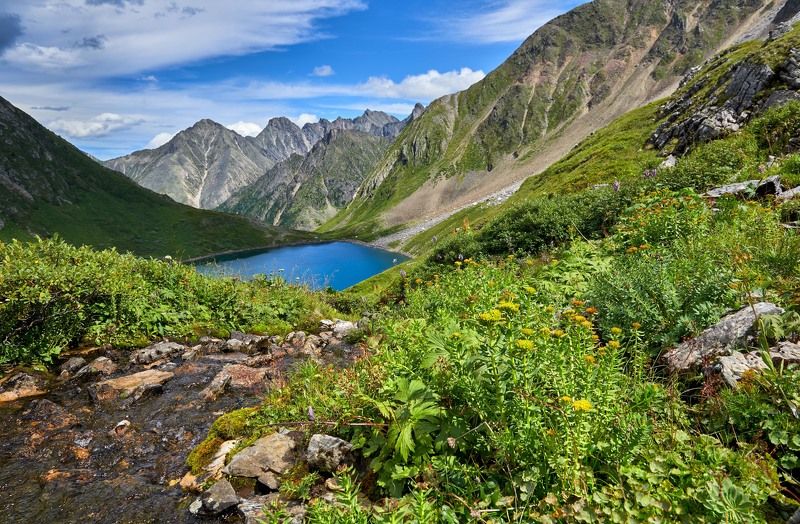 Ручей фото превью