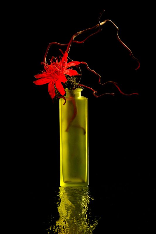 Вода, зеркало,цветок фото превью