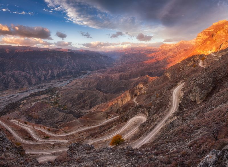 Дороги, которые мы выбираем. фото превью