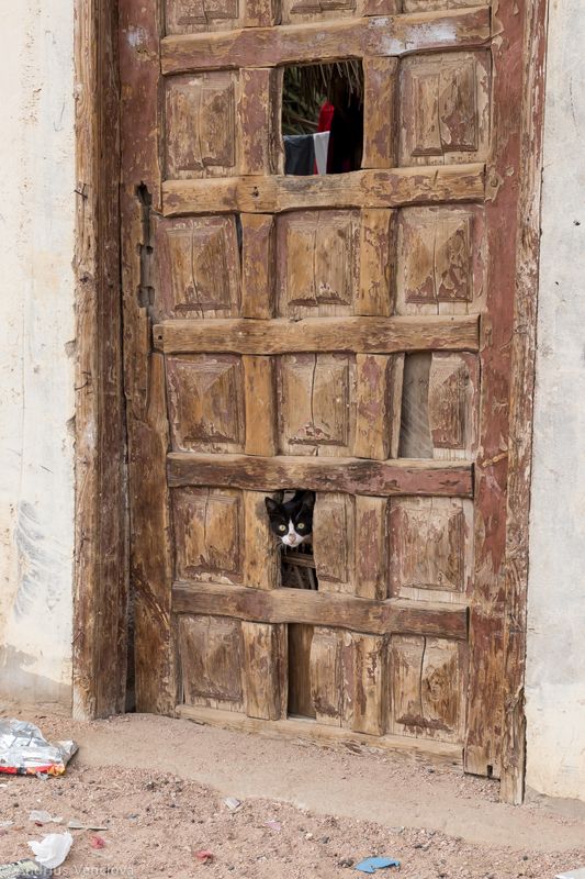 Who is there? фото превью