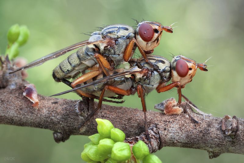 Вот и весна фото превью