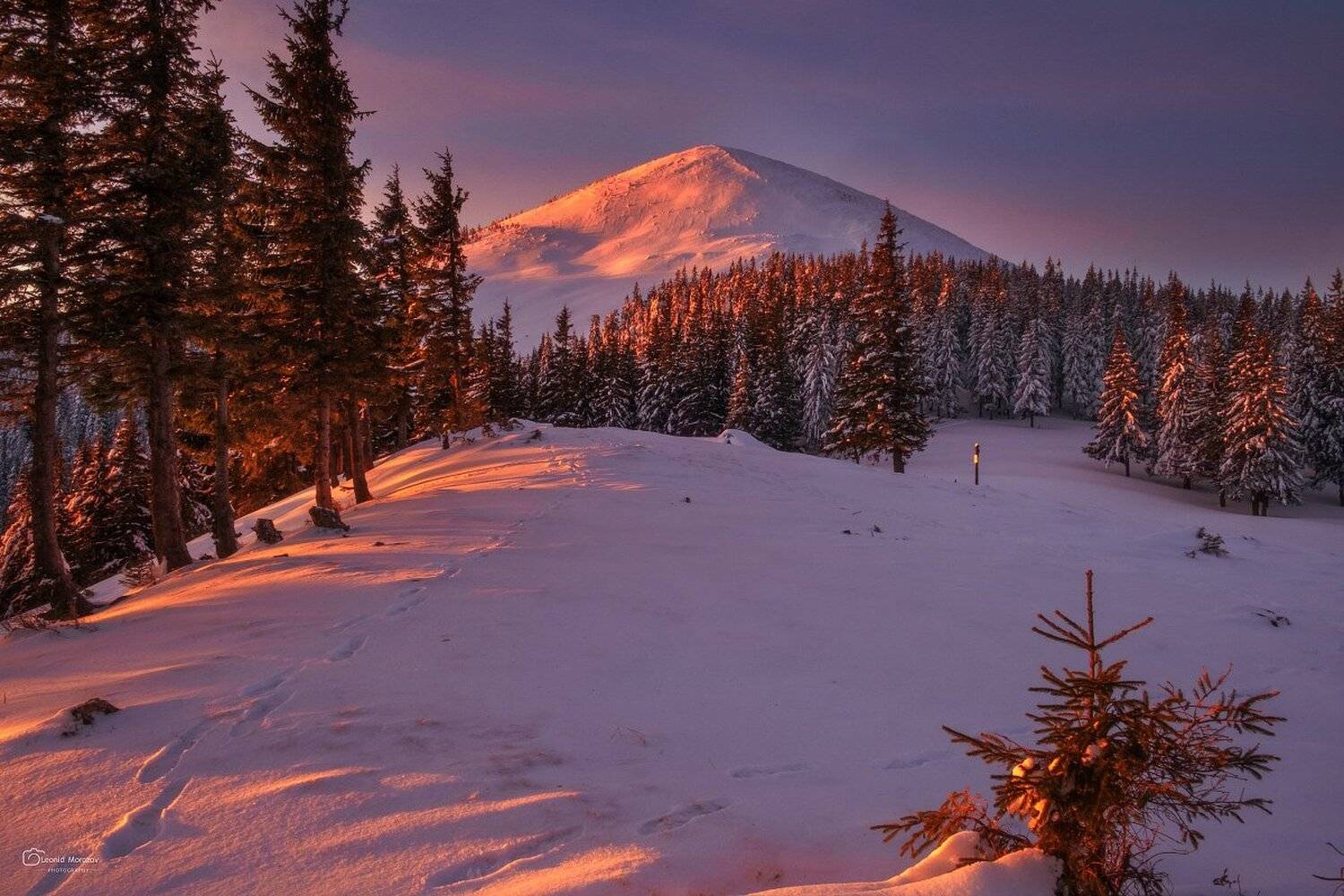snow., mountain, .glacier.evergreen, .snowfall., ridge, .snowy., slope, .mountain., peak., mountain., range., snowcapped., mt, foraker., Леонид Морозов