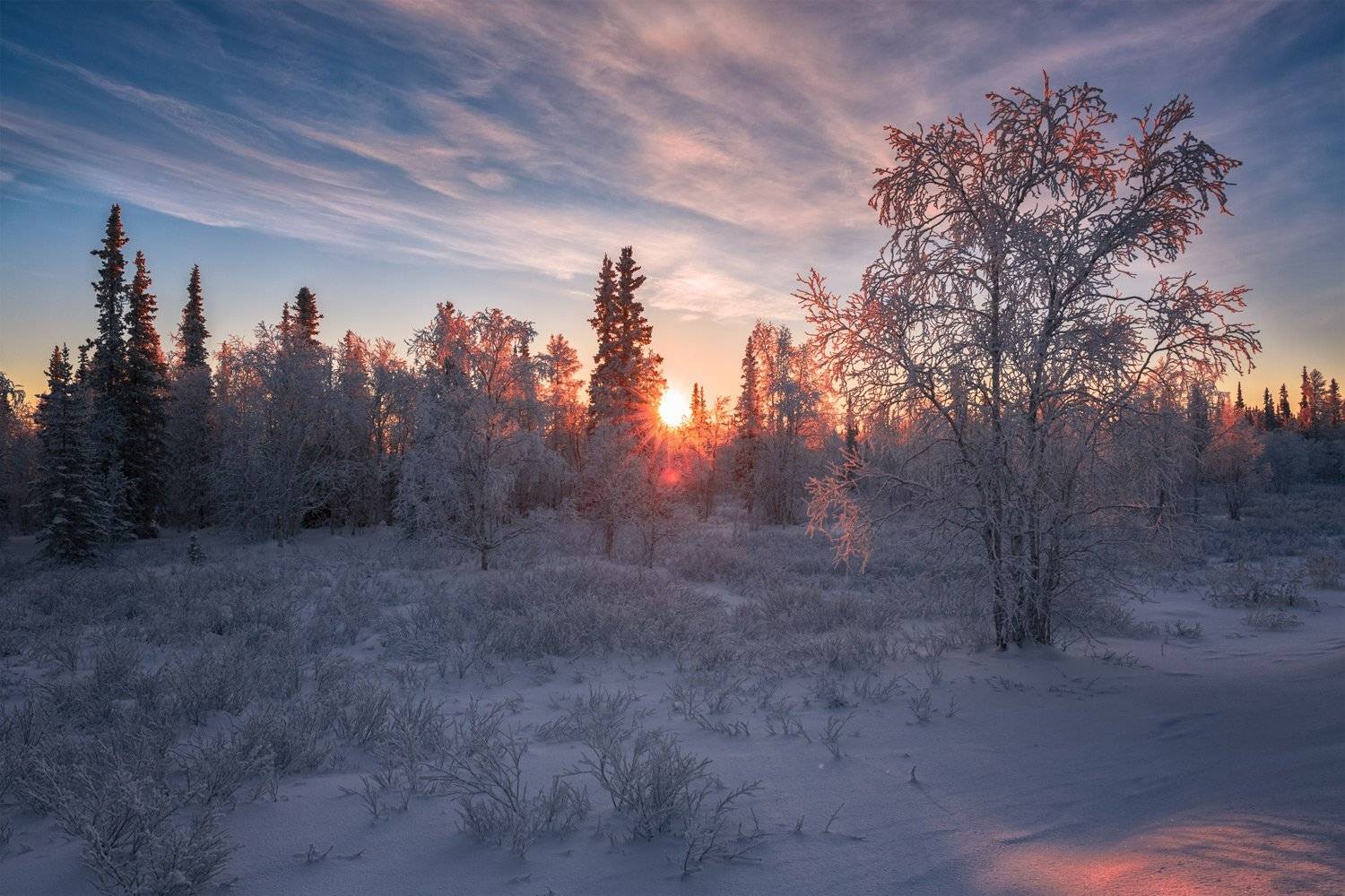 , Евгений Кужилев