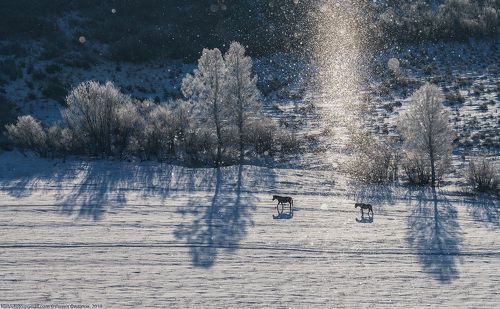 Небесное серебро