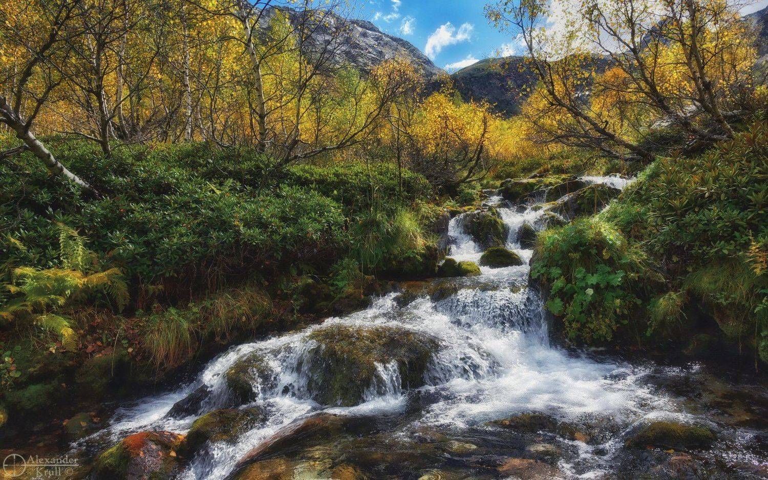 , Александр Круль