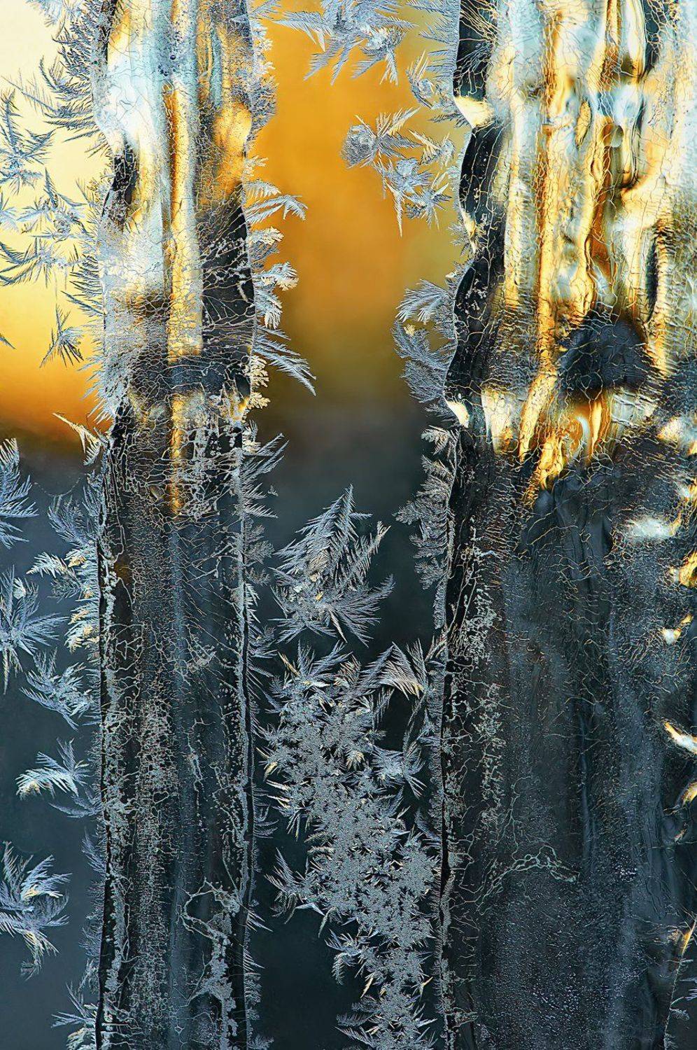 морозные узоры, Александр Демин