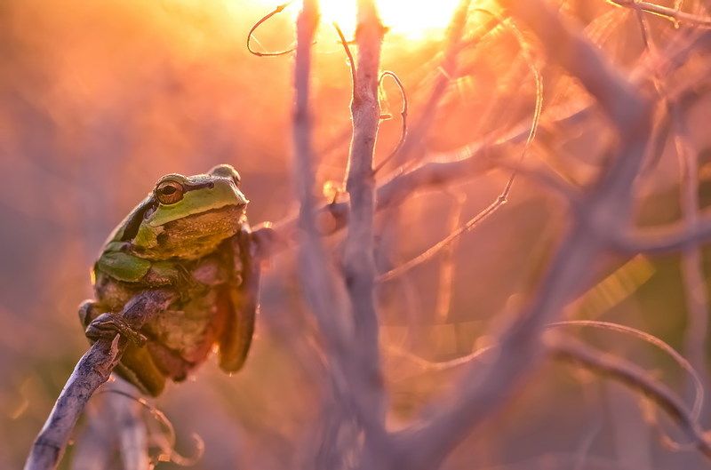 Провожая уходящий день фото превью
