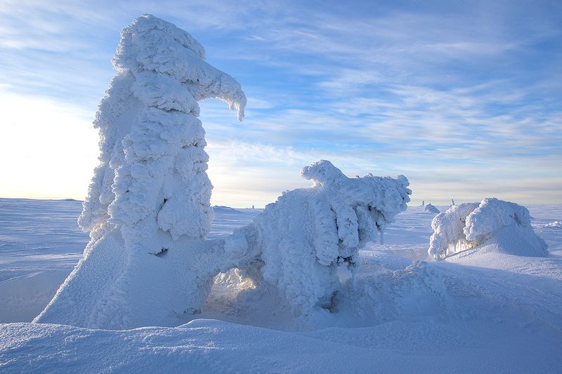 Zimowe wariacje фото превью