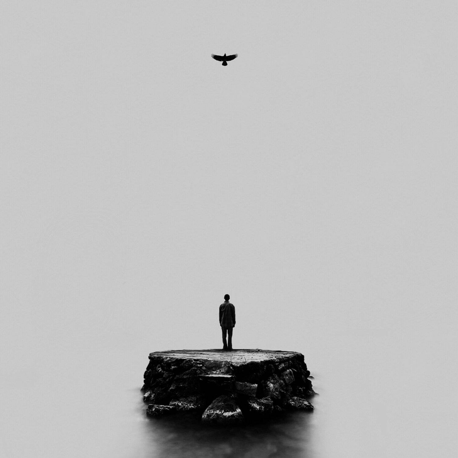 #35photo_ru#surrealart#photoshop #photography#minimalism #conceptual#fineart #instagram#ps_emotion#bnwminimalismmag #harfeaks #ir_photographer#ir_aks #hadimalijani#minimal #canon#blackandwhite#bnw#surreal#conceptualart#art #سورئالیسم#فاین_آرت#ادیت#فتوشاپ , Hadi Malijani