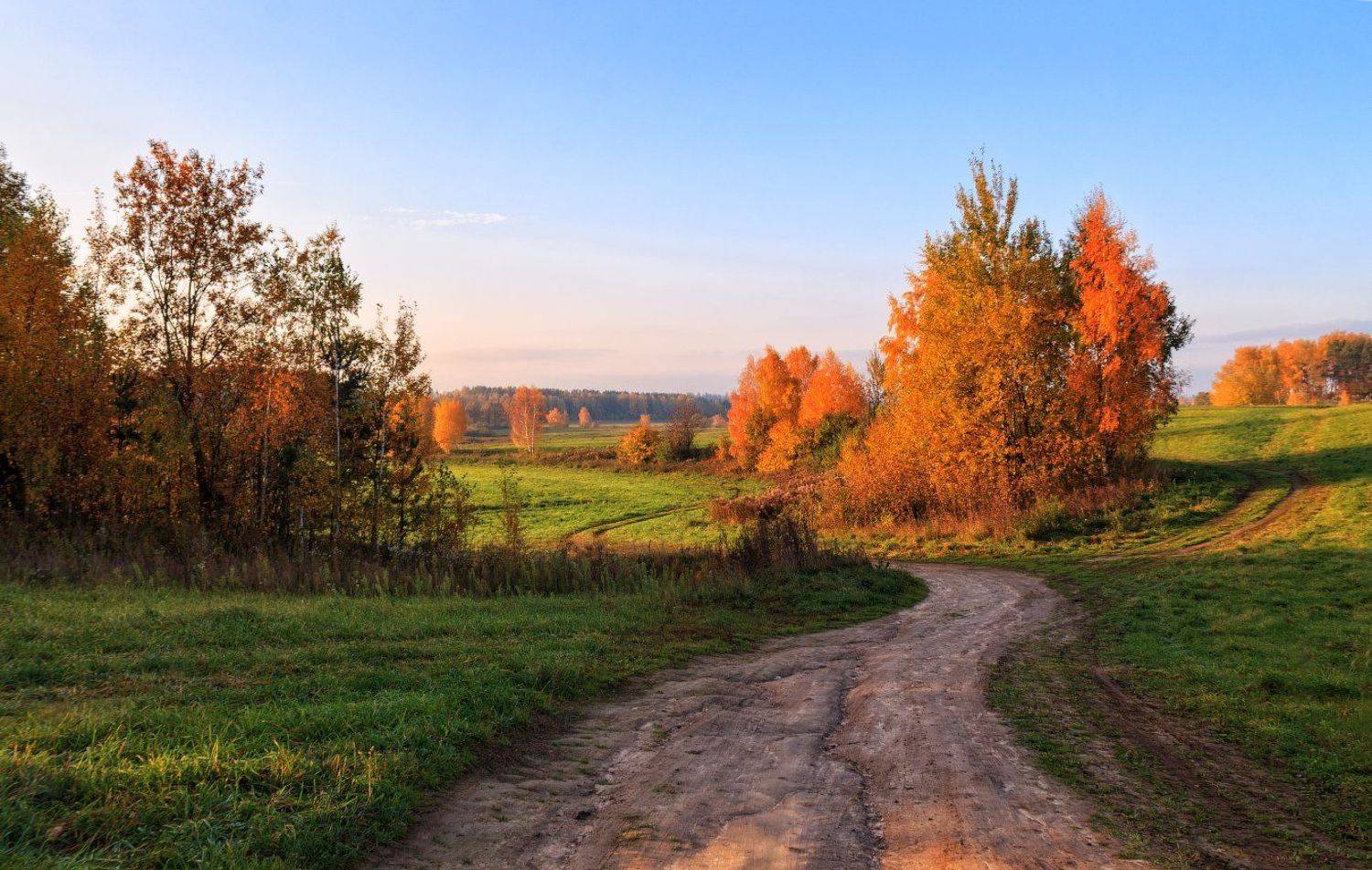 утро, осень, дорога,, Сергей Шабуневич