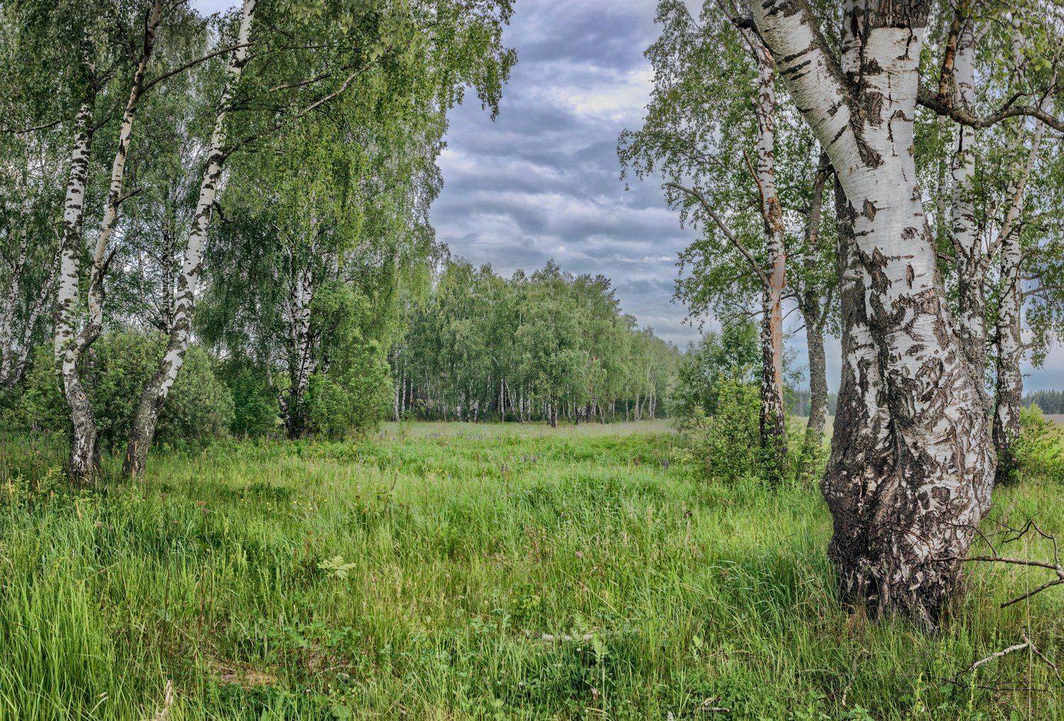 , Николай Андреев