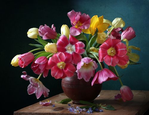 Предвестники весны