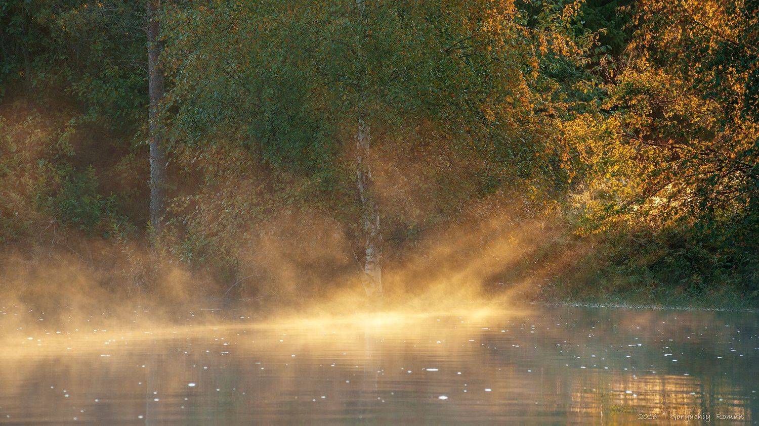великий двор,вологодчина,кема,север,лето,, Роман Горячий
