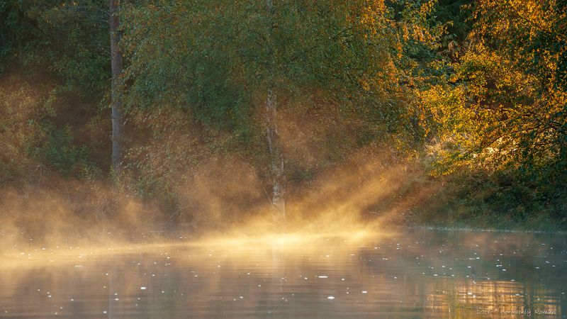 великий двор,вологодчина,кема,север,лето, Утренний луч. фото превью