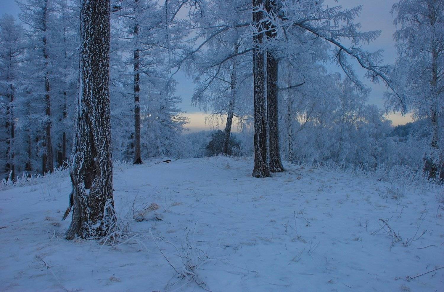 , Кондратьев Алексей